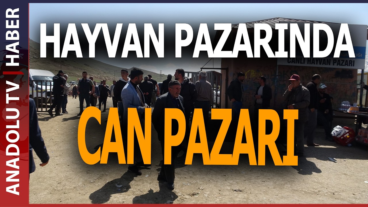 HAYVAN PAZARINDA SİLAHLI KAVGA: 1 ÖLÜ, 13 YARALI