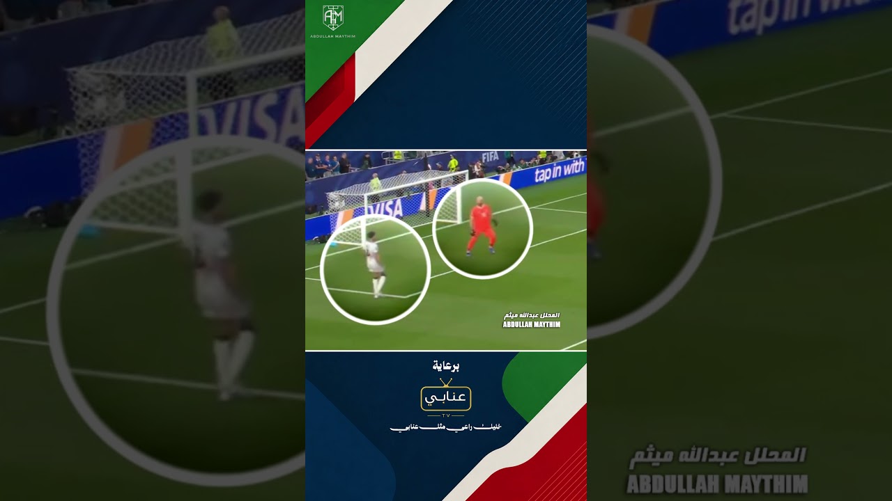 خطأ زيد تحسين ضد فرنسا