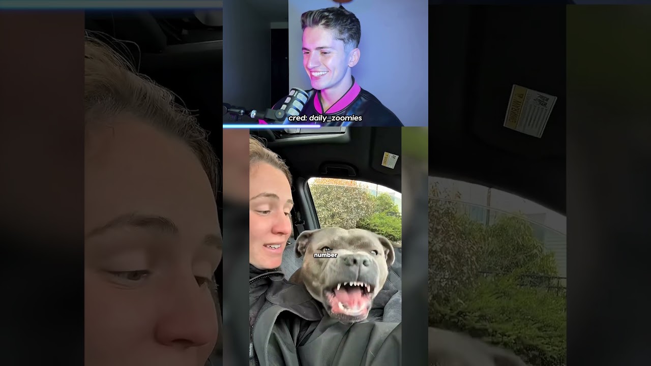 Never Say Your Dog’s Favorite Word