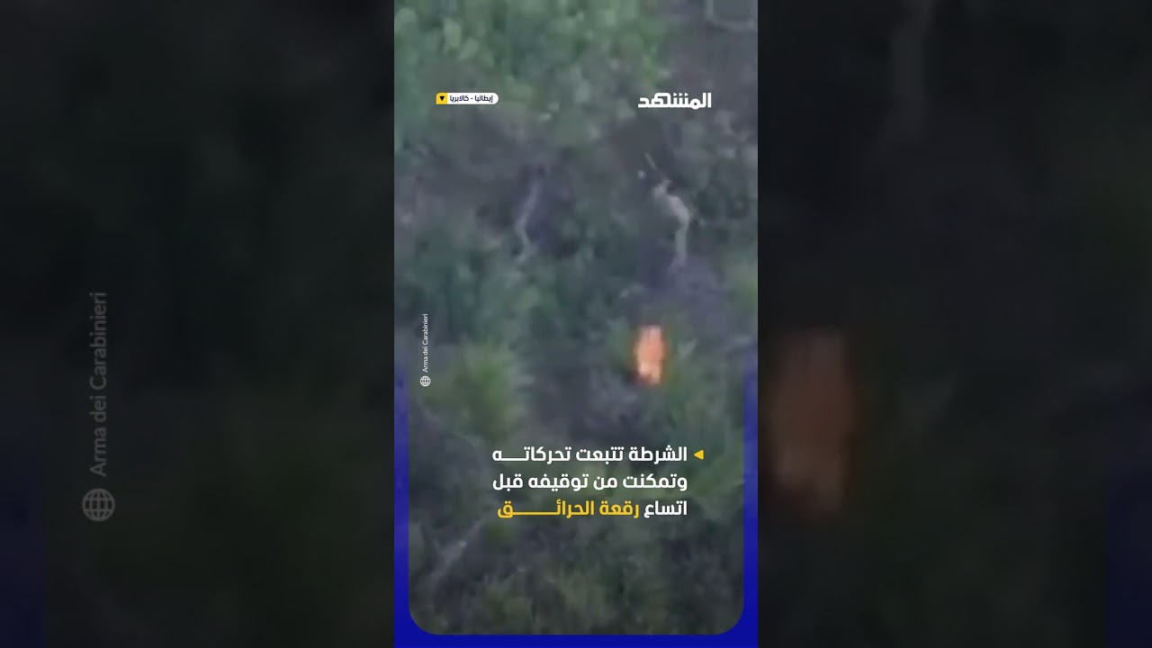 كاميرا في السماء تفضح سرًا وسط الغابة في إيطاليا #اخبار_المشهد #إيطاليا #المشهد