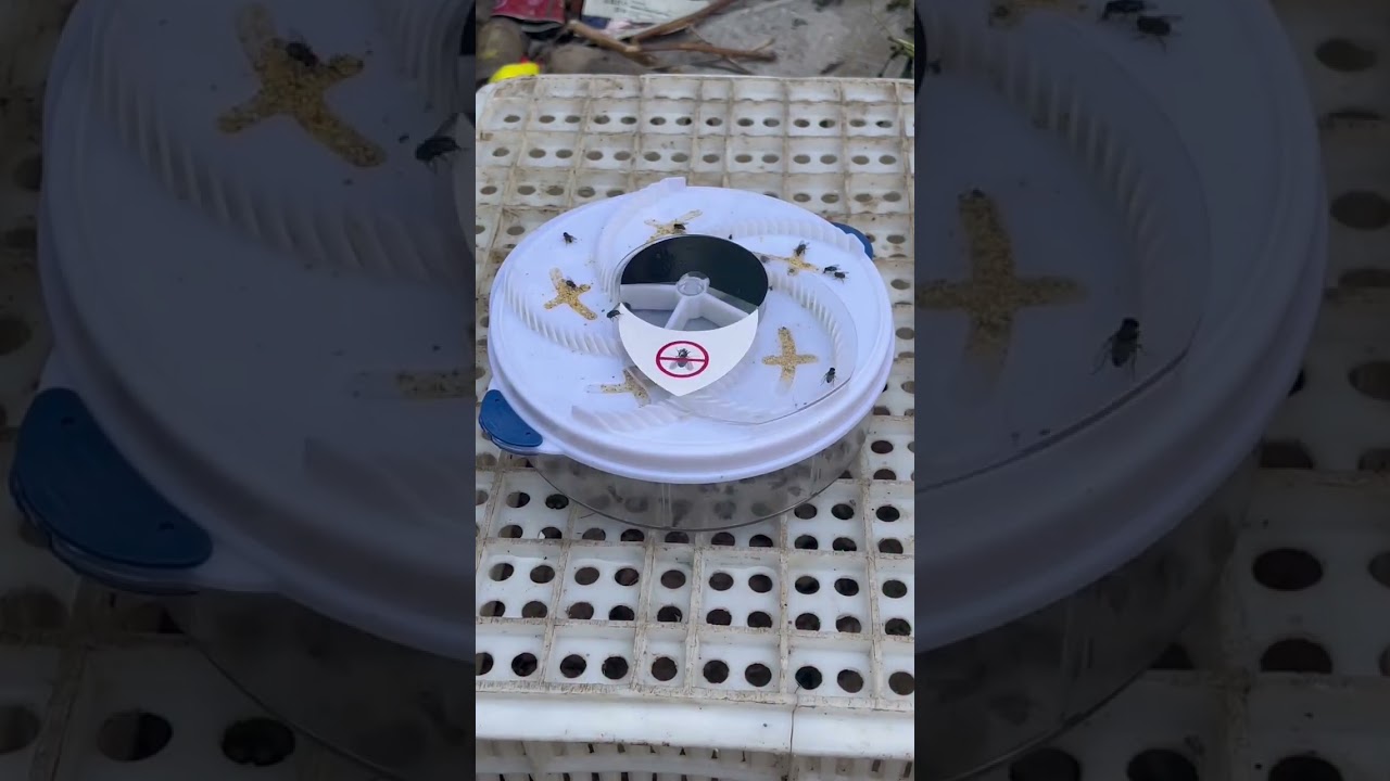 ▶️ Automatic Electric Insect Flycatcher — Best Indoor Bug Trap & Fly Catcher 2026 ( # 3137 )