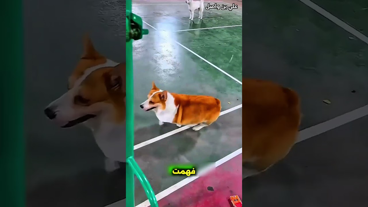 يلعب في الملعب مع اصدقائه ❤️ #shorts