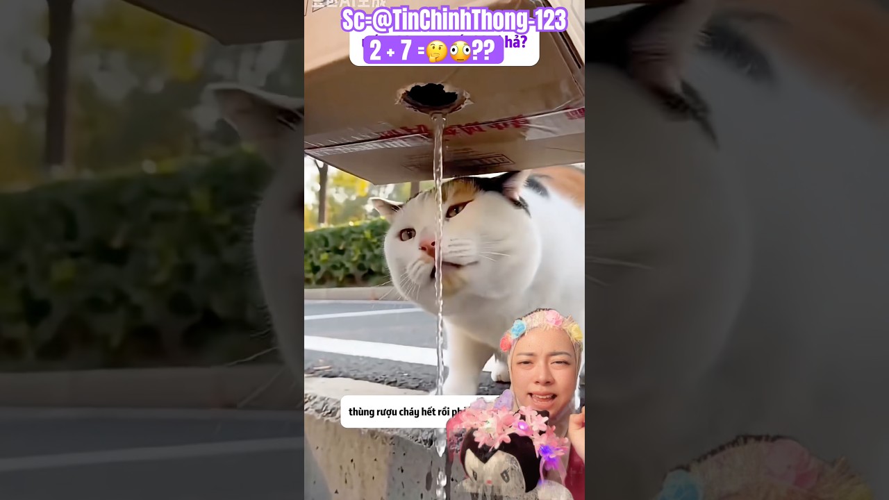 WEH‼️Main Minum Aja Ternyata Itu Bukan Air Biasa 😱🤣
