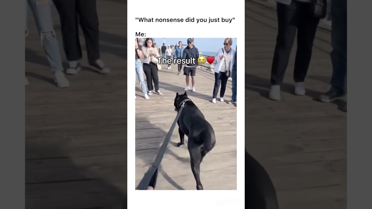 wait for it 😆