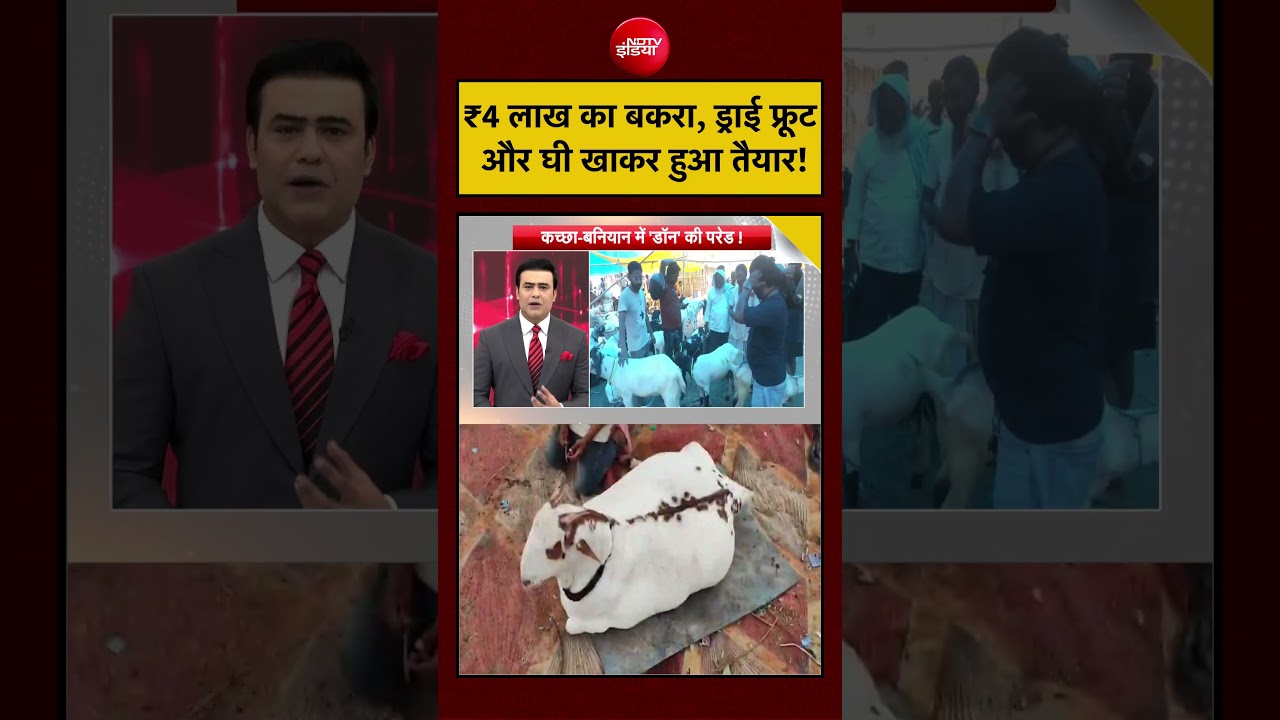 Syed Suhail | Bakrid | Eid al-Adha | UP News: ₹4 लाख का बकरा, ड्राई फ्रूट और घी खाकर हुआ तैयार!