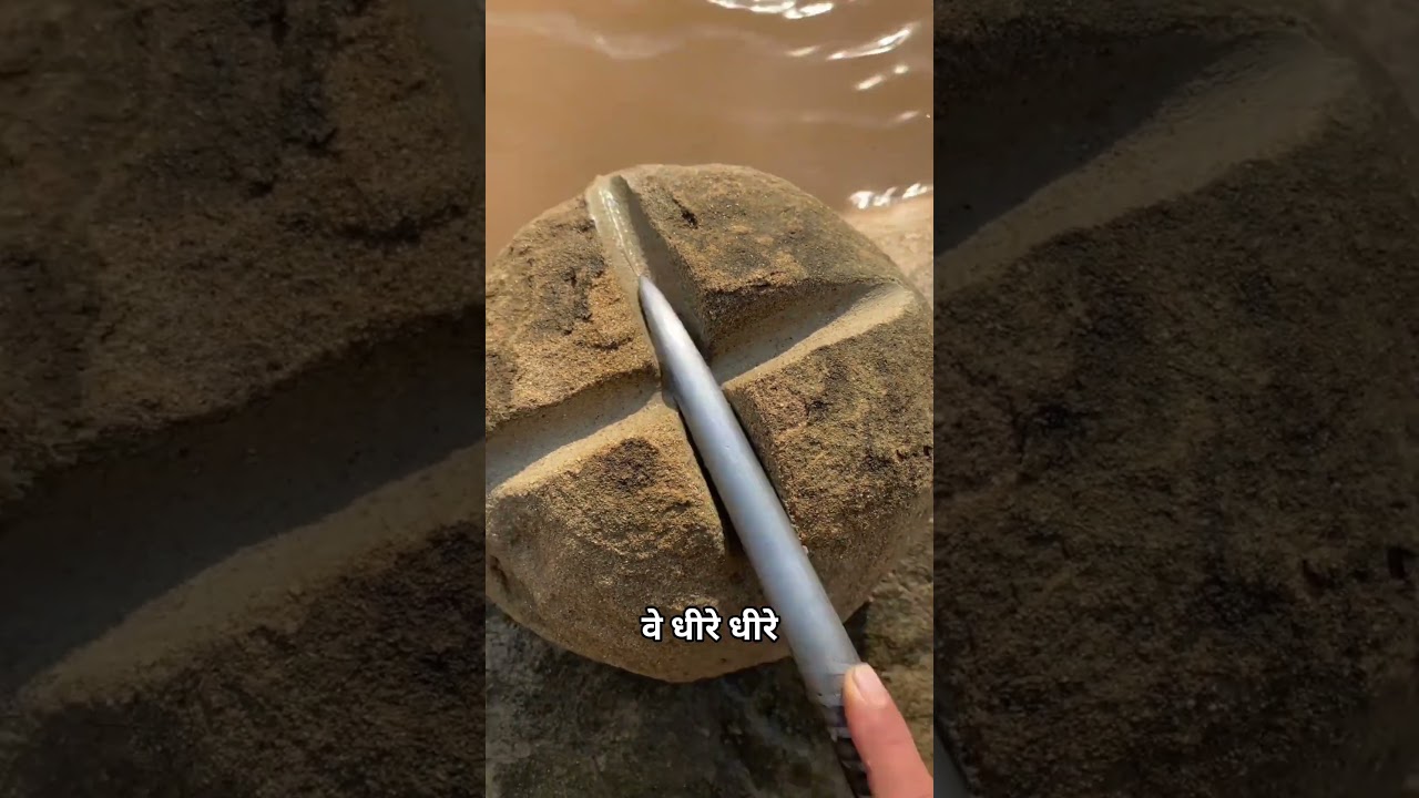 चीनी लोग कभी फ्री नहीं बैठ सकते 😮😮 | #shorts