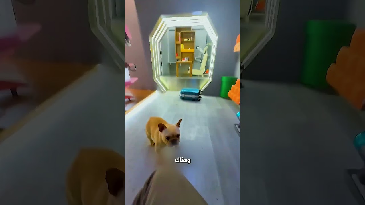 مراته طردته😂