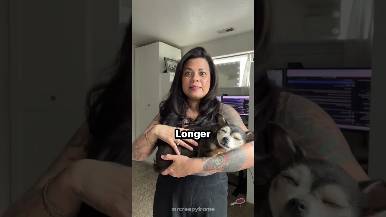 The Dog Wasn’t Moving - Published by MrCreepyFrame