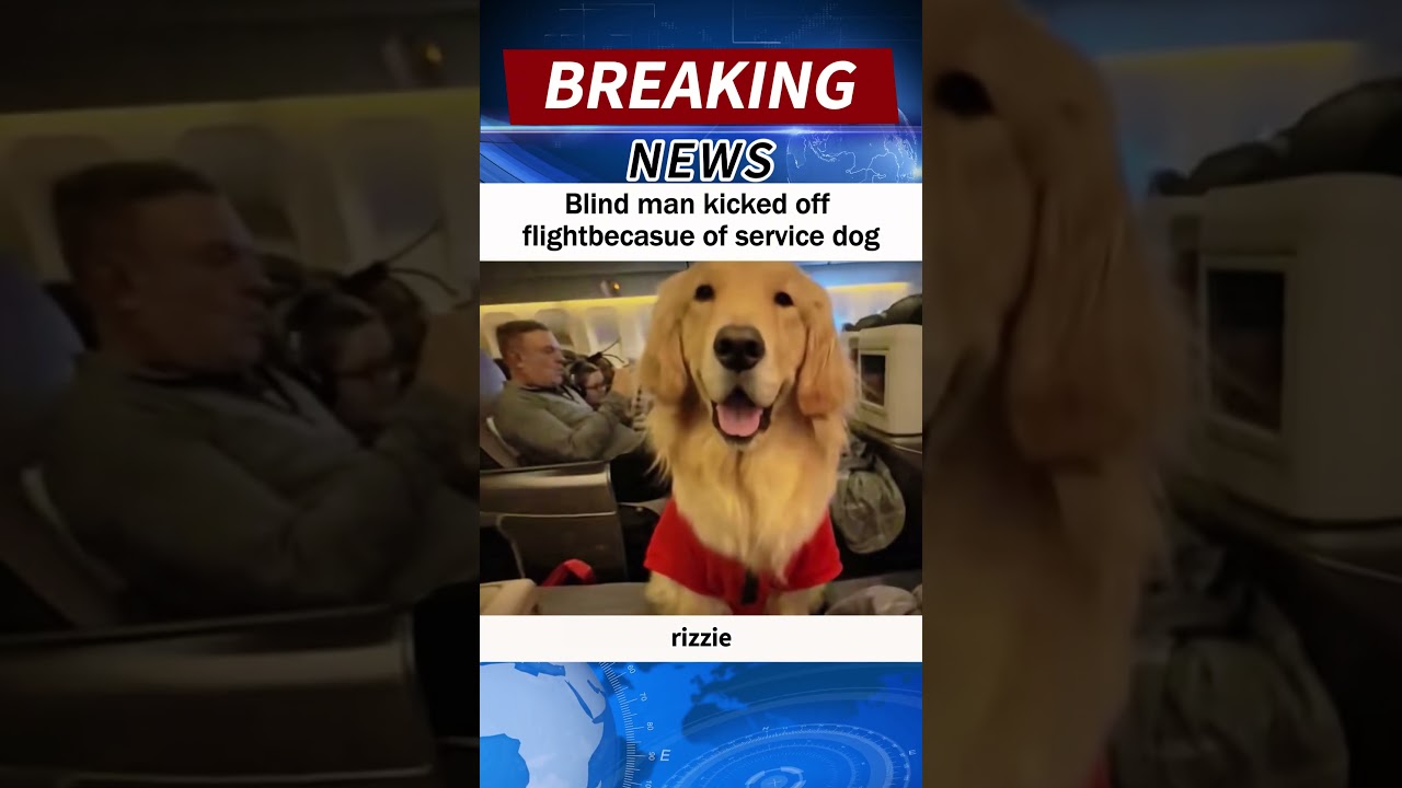 Blind man kicked off flightbecasue of service dog #news#shorts