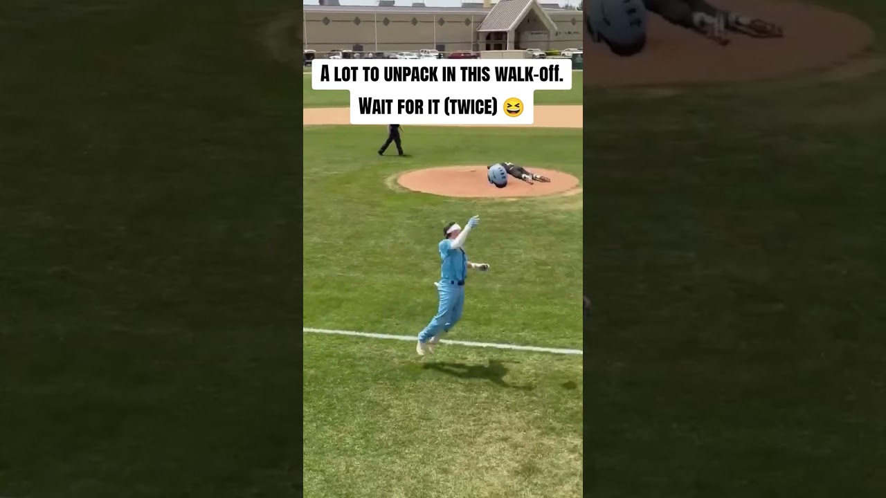 Wide range of human behavior in this walk-off ⚾️😆 #shorts