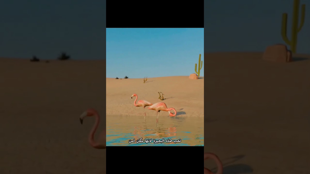 البحيرة التي تحول الحيوانات إلى حجر #shortvideo